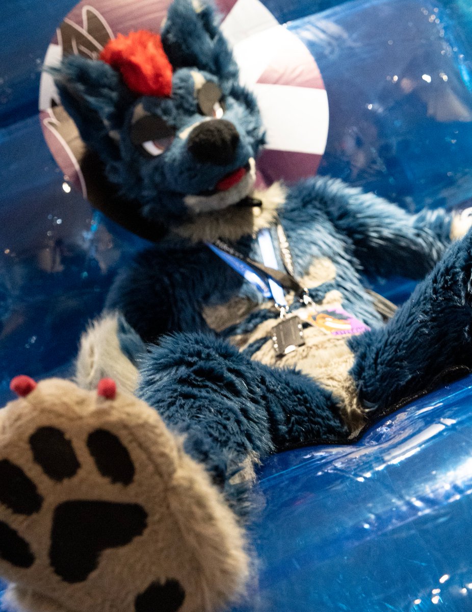 Kitferno πΎ (@kitferno) on Twitter photo Put me in your fursuit and let me bully you ππΎ
(me disguised as <a href="/wolfgrim1/">Wolf Grim / Lupus Torva</a>) Put me in your fursuit and let me bully you ππΎ
(me disguised as <a href="/wolfgrim1/">Wolf Grim / Lupus Torva</a>)