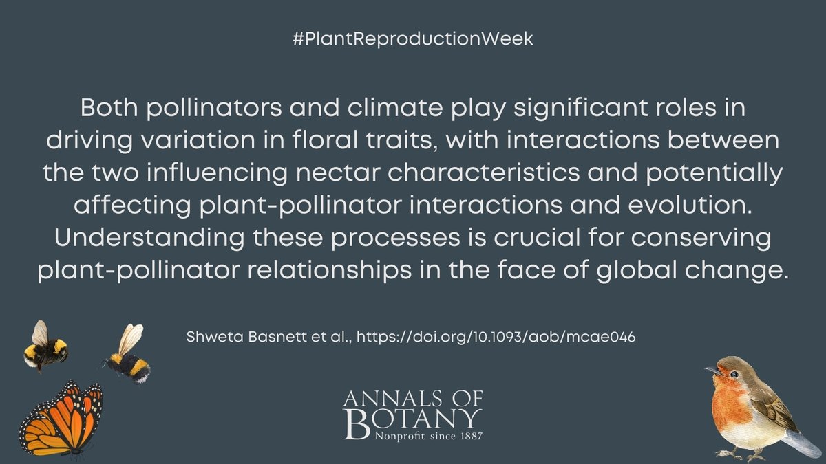 Annals of Botany (@annbot) on Twitter photo 🌸🔬#PlantReproductionWeek🌍
Floral traits and their connection with pollinators and climate by Shweta Basnett et al. in <a href="/annbot/">Annals of Botany</a>
#openaccess article
👉 doi.org/n5p9
#PlantScience 🌸🔬#PlantReproductionWeek🌍
Floral traits and their connection with pollinators and climate by Shweta Basnett et al. in <a href="/annbot/">Annals of Botany</a>
#openaccess article
👉 doi.org/n5p9
#PlantScience