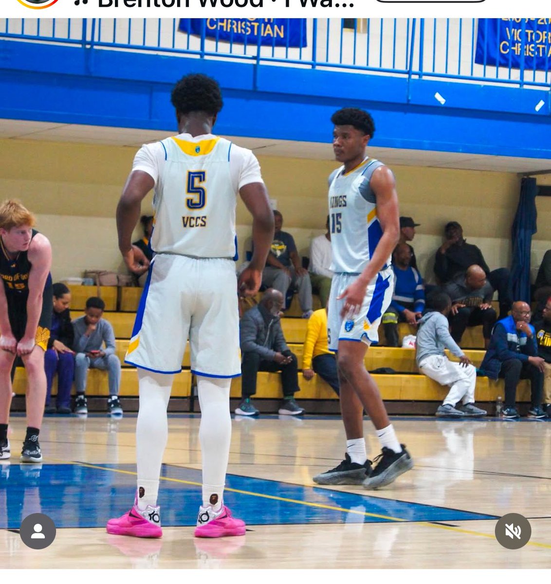 IG: BDahtTV tweet media