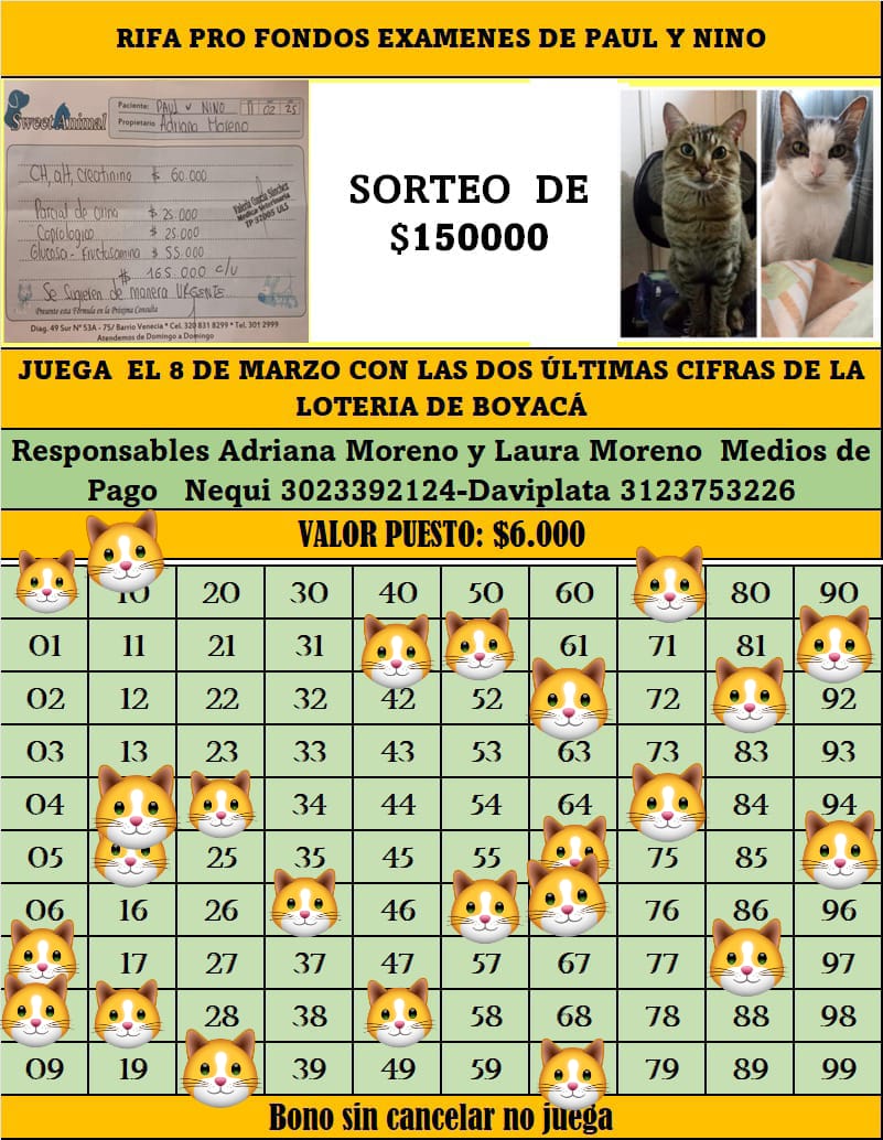 Adri 🐈🐕🐑🫏 tweet media