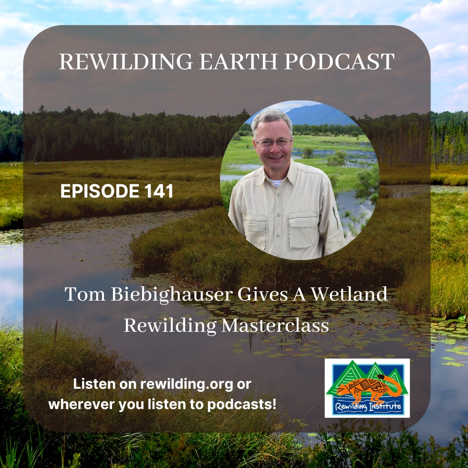 Rewilding Earth #Podcast Episode 141: Tom Biebighauser Gives A #Wetland #Rewilding Masterclass  ow.ly/Z0M550UYPL6