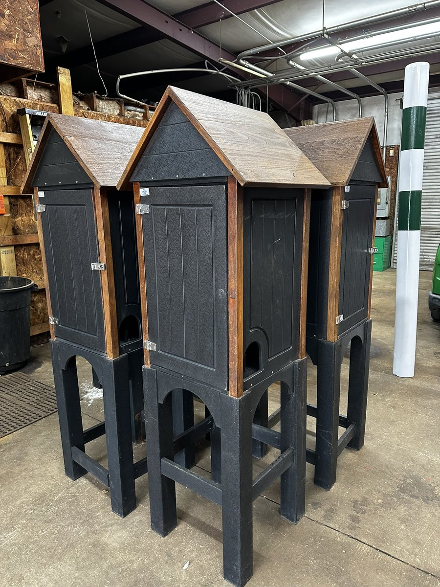 Georgia Riley tweet media