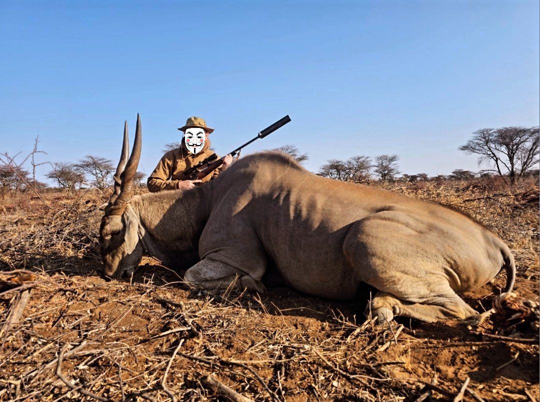 Phil Konieczny tweet media