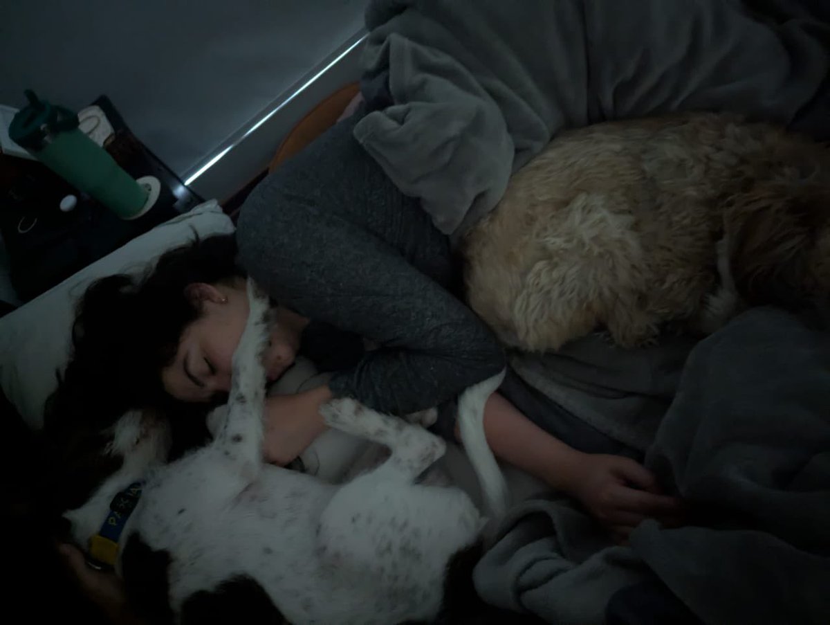 Por mañana así, toda mi vida.