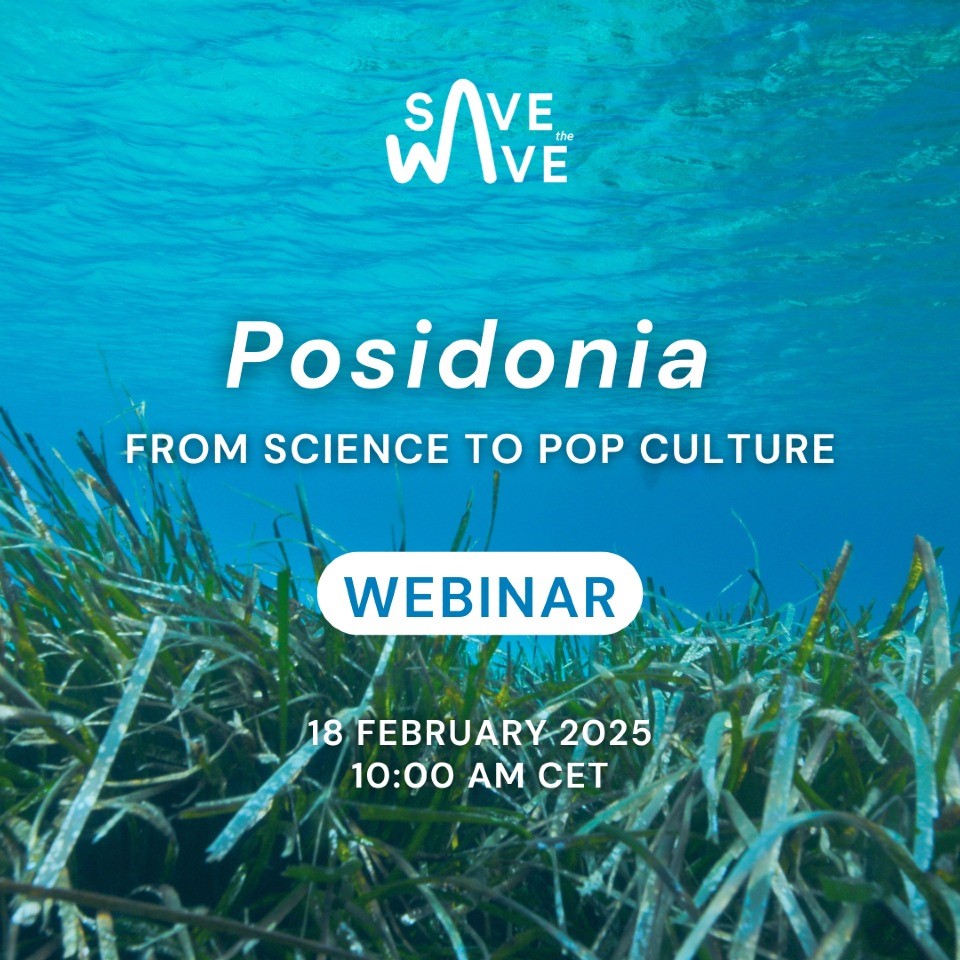UNESCOVenice's tweet photo. ๐#SaveTheWave webinar: "#Posidonia: from science to pop culture"๐ฟ
Through science, art and culture, our speakers will showcase impactful initiatives and real-world case studies to safeguard this vital ecosystem!๐ฑ
๐
18 February 2025
๐ https://t.co/ODZDIvxZqO
@UNESCO https://t.co/pa6ghLCZbs