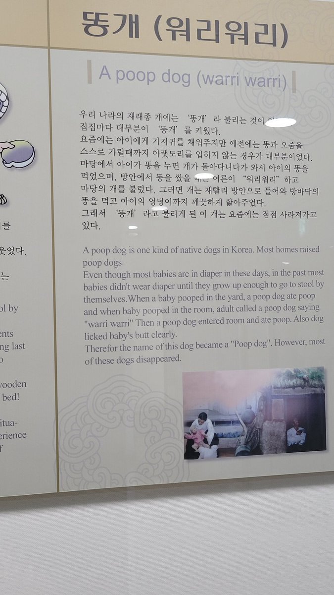 massageba11's tweet photo. 매우 세심하게 재현한
"똥개의 전설" https://t.co/m58I8hJSqZ
