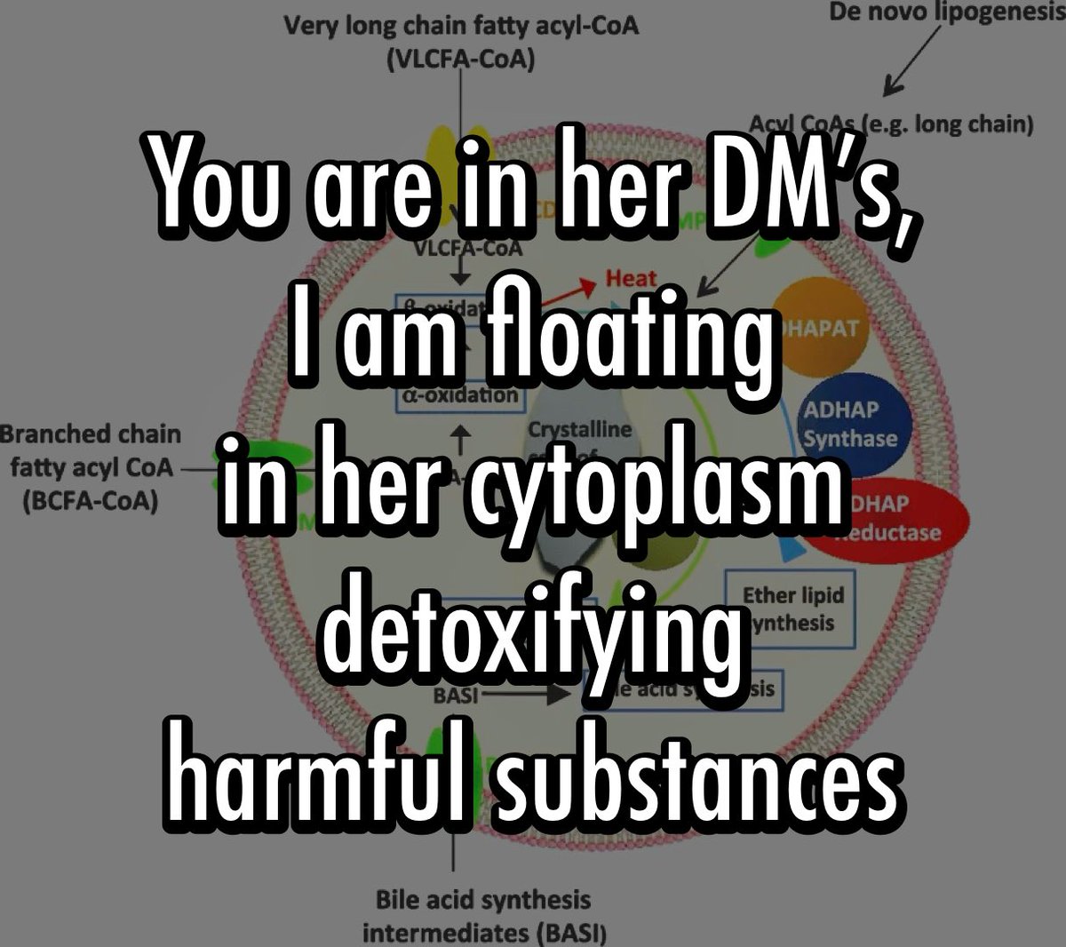 who up synthesizing they phospholipids rn? #CellabrateTheVote 
#peroxisome2025