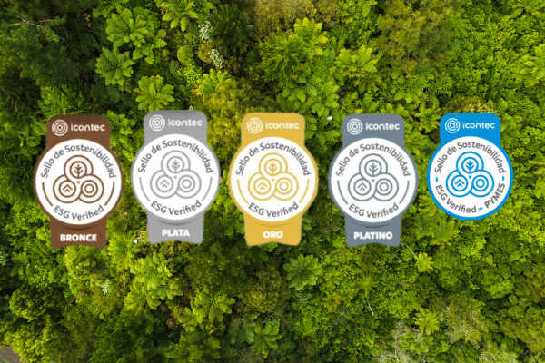 Catorce 6 tweet media