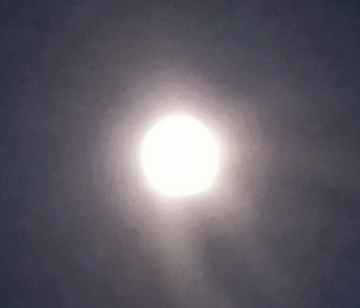 눈비가 내려 보름달을 볼 수 없을 거 같았는데 이 시간에 보름달이 환하게 떴어요.
소원 빌어 보세요.