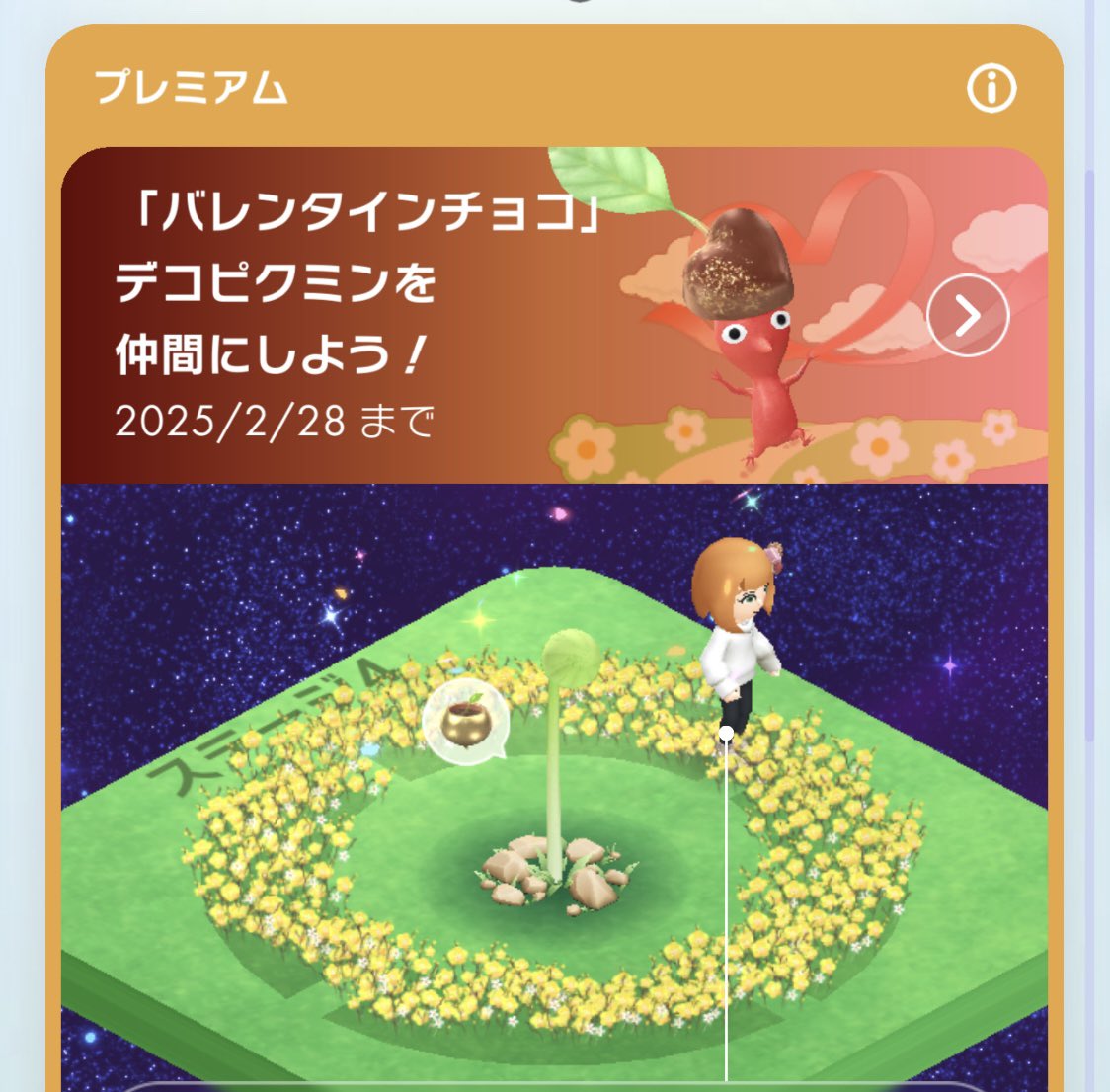 ん？
めっちゃ花が多い