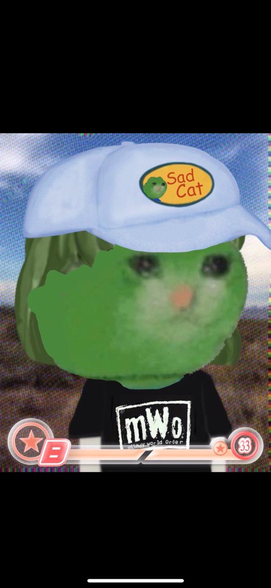 Once oeople realize $sadcat is the only cat left on $gfm the PA will be insane