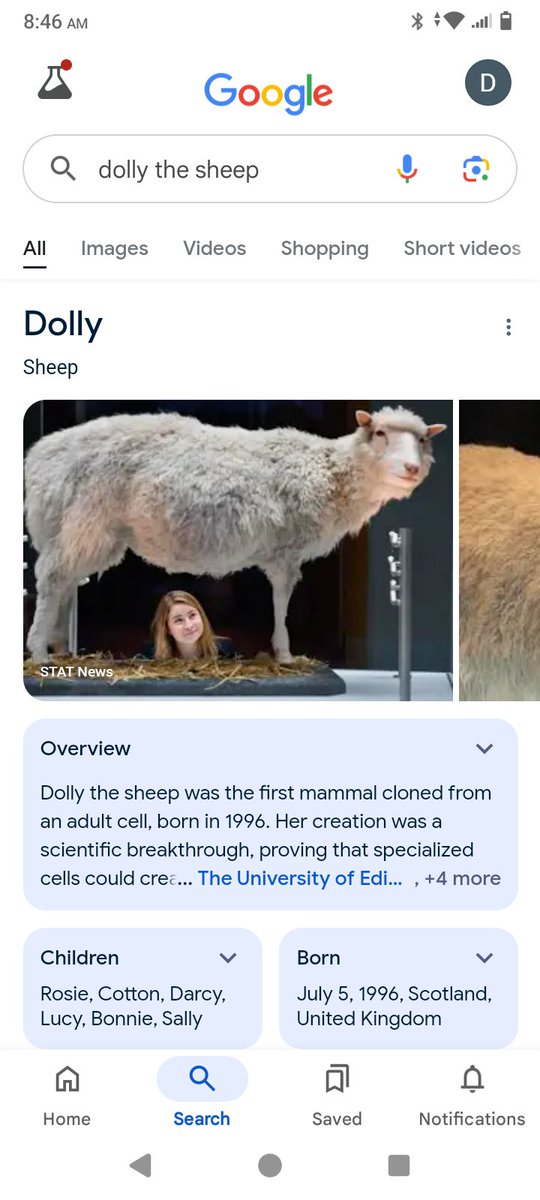 DerekJRussell3's tweet image. #oldBLOOD
#britishEmpireMONARCH