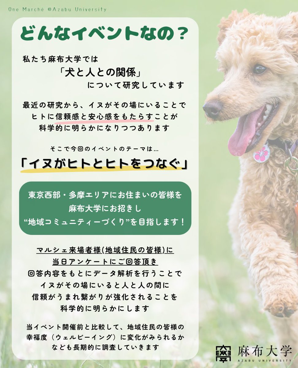 ＼3/29(土)30(日)は麻布大学へ!／

#麻布大学 では、
研究活動の一環で「Oneマルシェ」を開催します！

「イヌがその場にいると人と人の繋がりが強化される」ことを科学的に明らかにしよう✨

という試みです。
詳細は下記ご参照下さい！

≫ Webサイト
sites.google.com/carazabu.com/d…

#麻布大学oneマルシェ