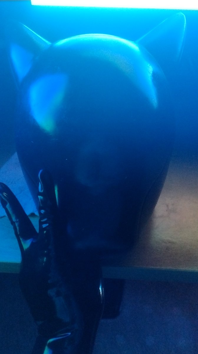 Drone puppy activities incoming ^^