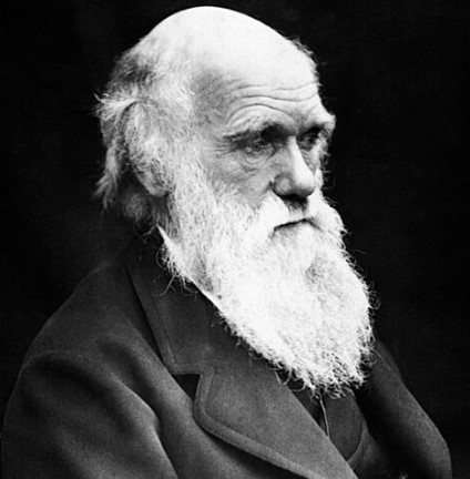 GuildhallLib's tweet image. 🎂To mark Charles Darwin’s birthday we have been admiring some of his first editions here. #DarwinDay