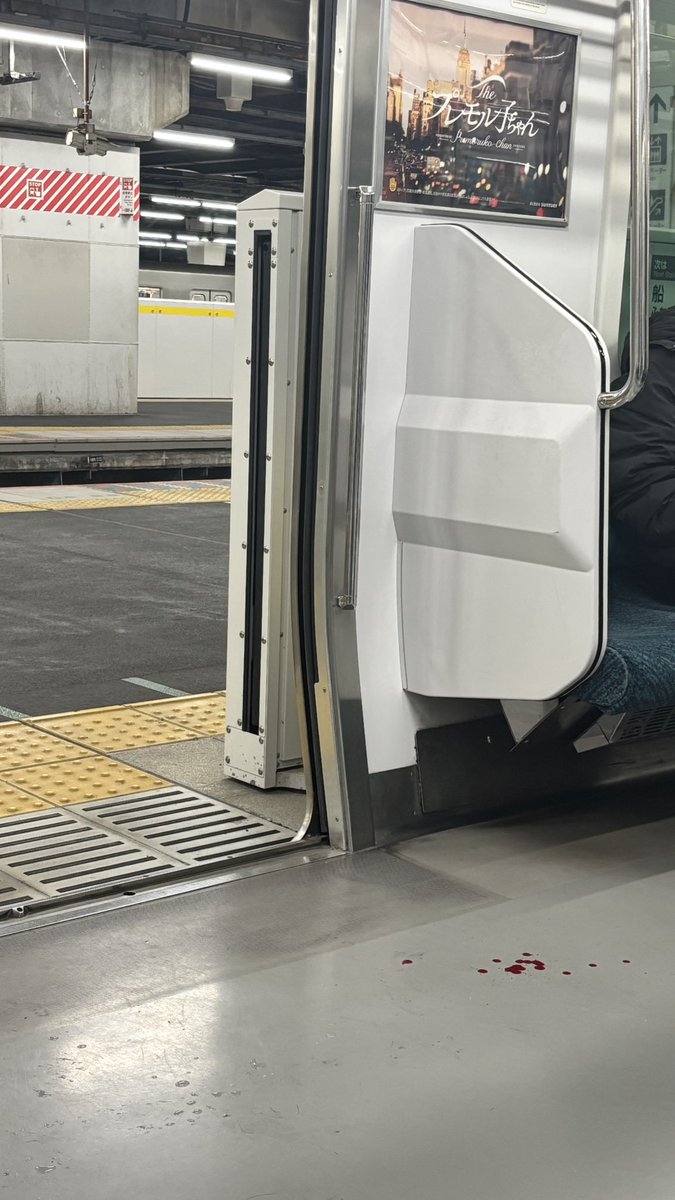 バイト終わりの総武線、血痕がついてるの流石
期待を裏切らないよね