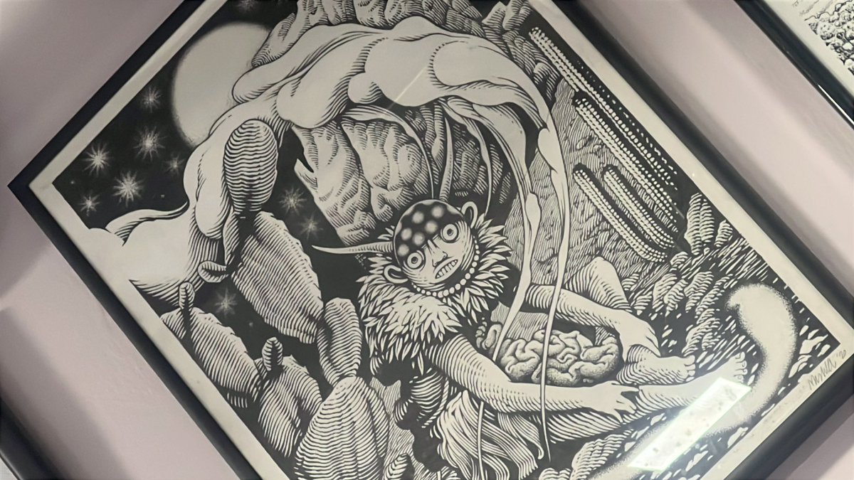 Marko uomoselvaggio tweet media