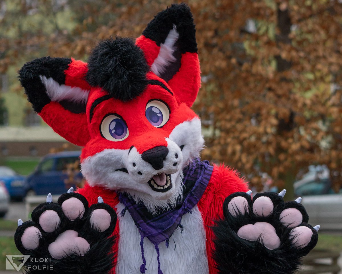 Have a pawsome day~ 🐾❤️
📷 <a href="/KlokiFolfie/">KlokiFolfie</a> ✨️