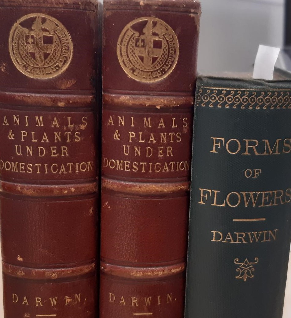 GuildhallLib's tweet image. 🎂To mark Charles Darwin’s birthday we have been admiring some of his first editions here. #DarwinDay