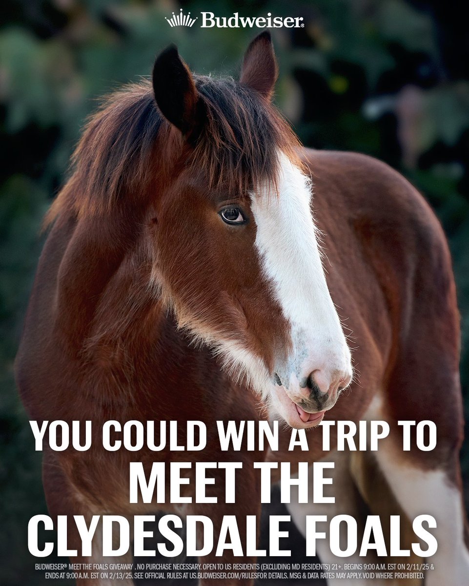Enter now for your chance to win a trip to <a href="/WarmSpringRanch/">Warm Springs Ranch</a> to meet the Clydesdale foals, by commenting #ThisBudsForYou #Sweepstakes