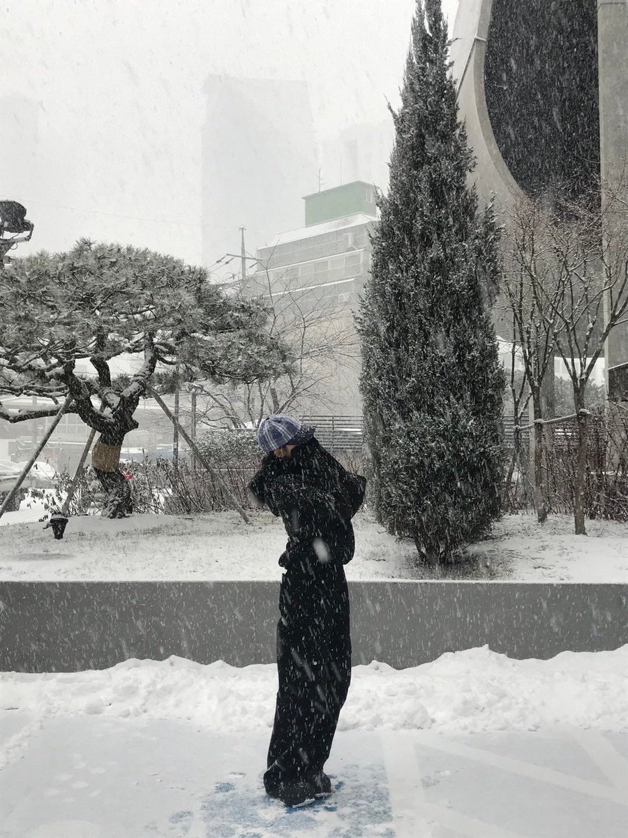rorafilms's tweet photo. #rora loves snow❄️ https://t.co/zlSuyuD7vq