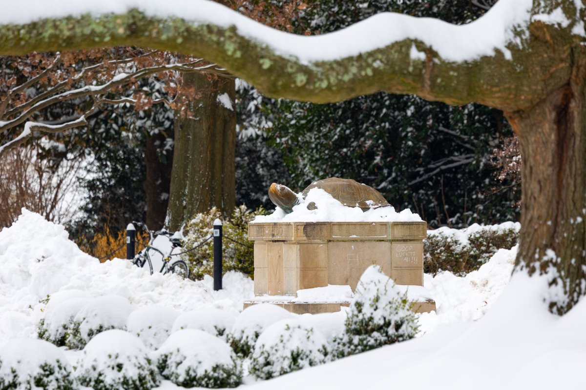 Campus snow globe ❄️💛