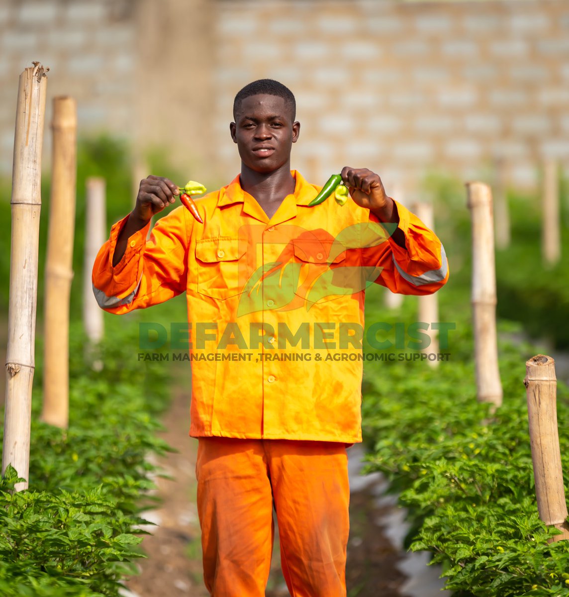 Defarmercist tweet media