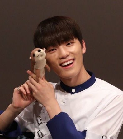 이때디노가 너무좋음…머리털이너무 정갈해서귀여워… 만지면 뽀드득소리날거같음