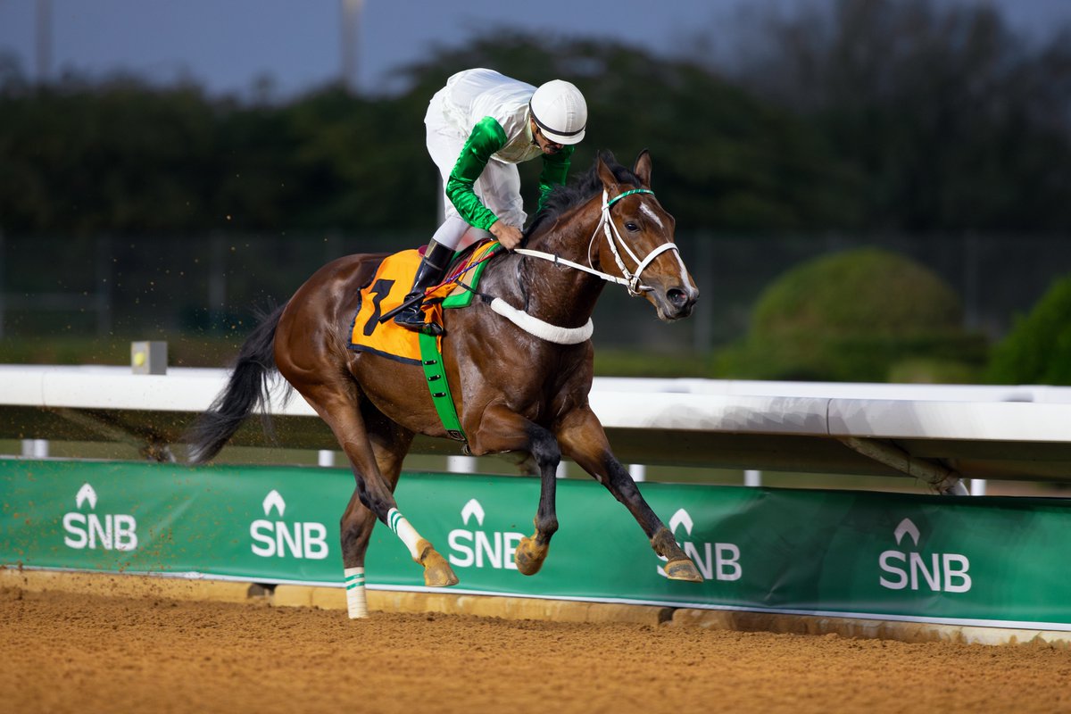 KSA champion trainer-elect Thamer Aldaihani has seven huge chances on Saudi Cup night and reports his big-race contenders to be thriving.

"In The Saudi Cup both Wait To Excel and Al Musmak are in peak condition, and I hope the race unfolds in their favour. 
"In the Saudi Derby