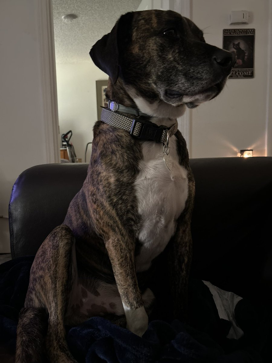 Caliente’s Mama tweet media