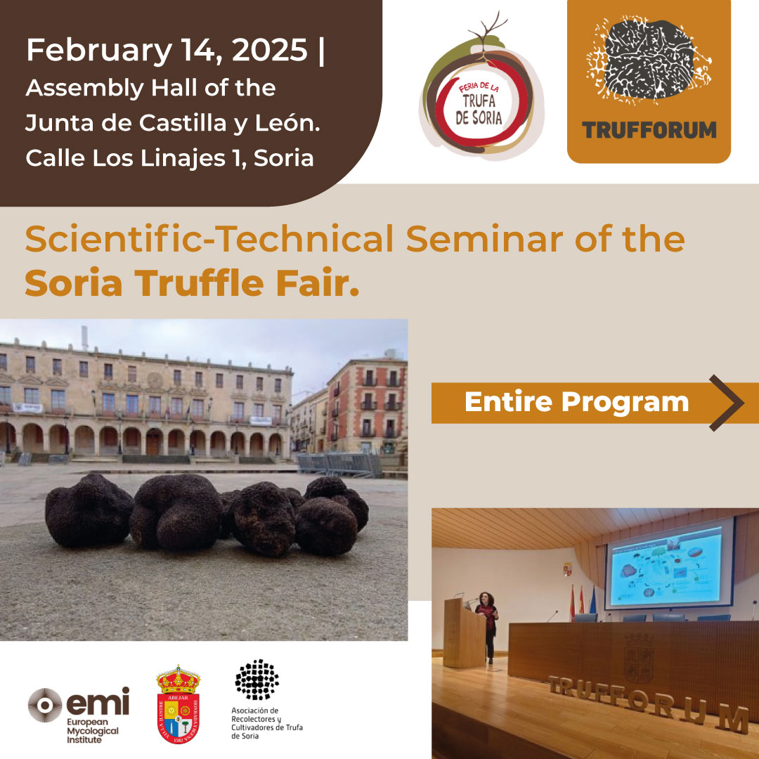 Trufforum official tweet media