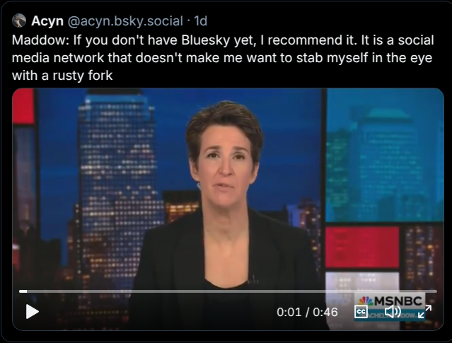 Steven Lucy tweet media