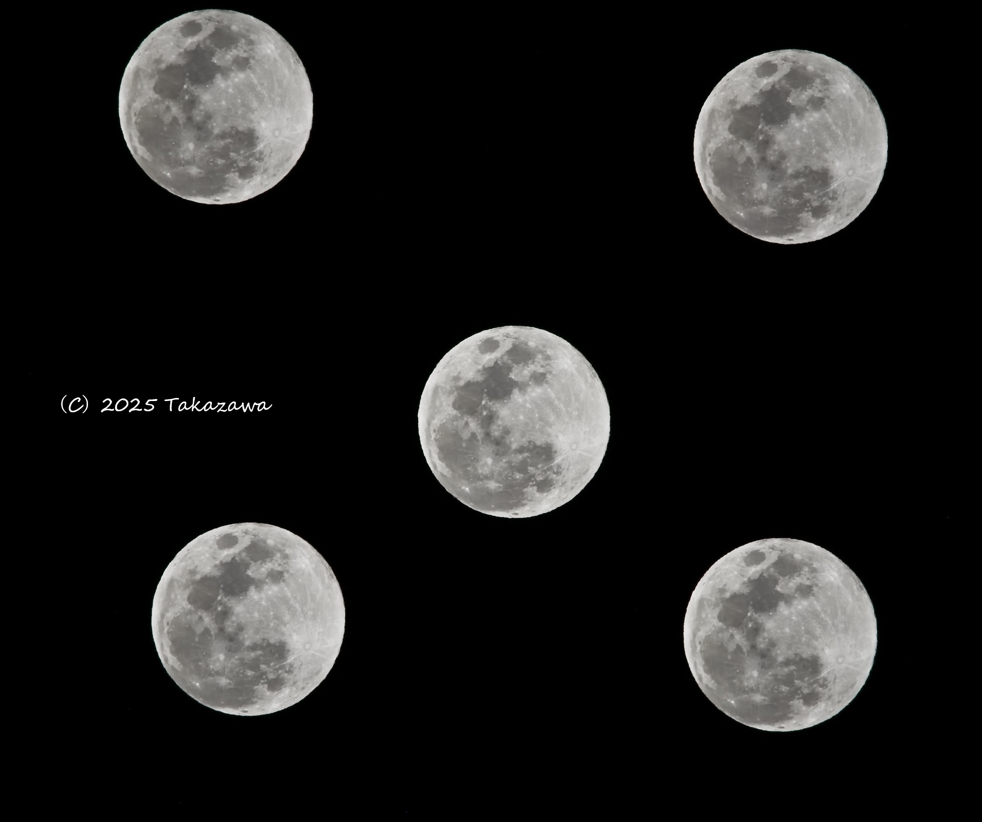 満月 shibazakurac on X: 