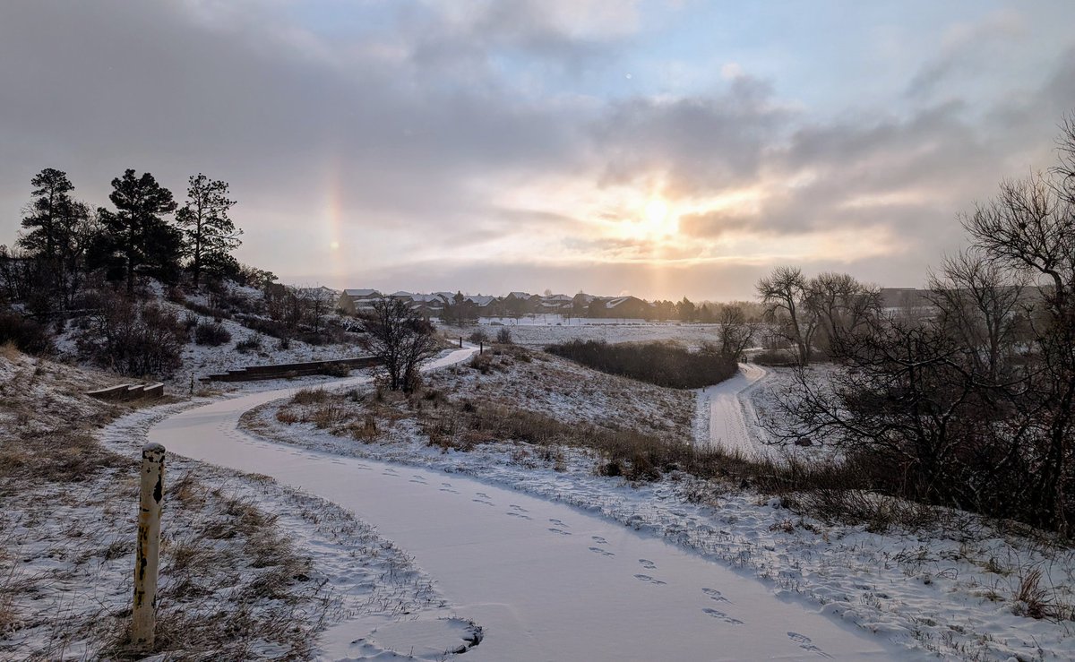 Cannibal Cervine tweet media