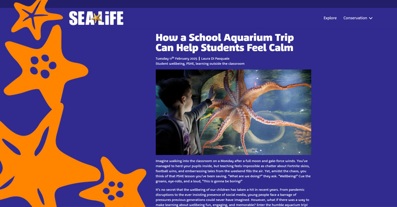 SEALIFE Schools (@sealife_schools) on Twitter photo 📢"Aquariums offer a unique blend of calm and curiosity, making them the perfect antidote to classroom stress."
An excuse to put the kettle on ☕️, our latest article from guest writer <a href="/LauraKeeney01/">Laura Di Pasquale</a> is live 💙
bit.ly/HowaSchoolAqua… 📢"Aquariums offer a unique blend of calm and curiosity, making them the perfect antidote to classroom stress."
An excuse to put the kettle on ☕️, our latest article from guest writer <a href="/LauraKeeney01/">Laura Di Pasquale</a> is live 💙
bit.ly/HowaSchoolAqua…