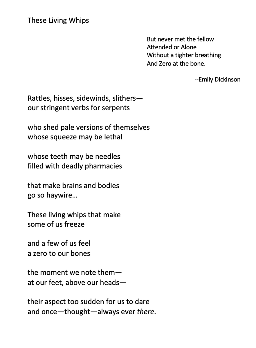 It's the Year of the Snake...so here's a snaky one.