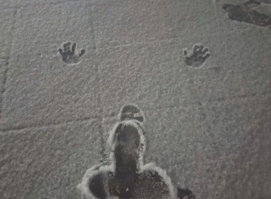 Oh my goddd i was taking a short walk to enjoy the snow and i felll 😭 (6ft btw)