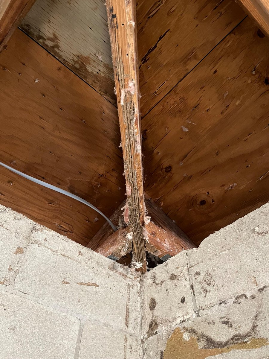 Protect your home from the unseen damage of subterranean termites. Schedule a treatment today to avoid expensive repairs down the line. Stay proactive and safeguard your investment. 🏠🔍 #HomeProtection #TermiteAwareness #PreventativeCare