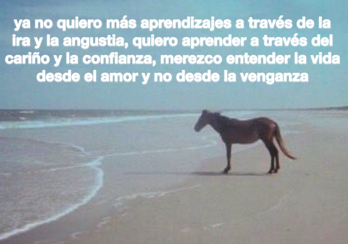 emociones amarillas (@conoloracigarro) on Twitter photo 