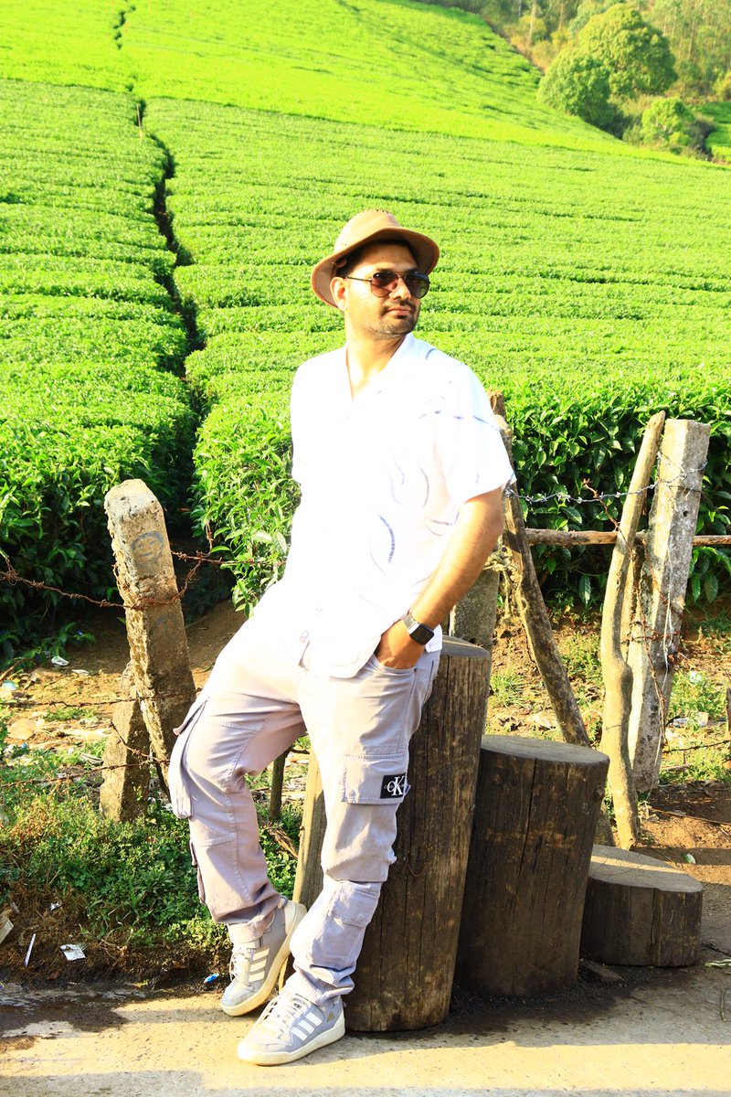 चाय के खेतों में