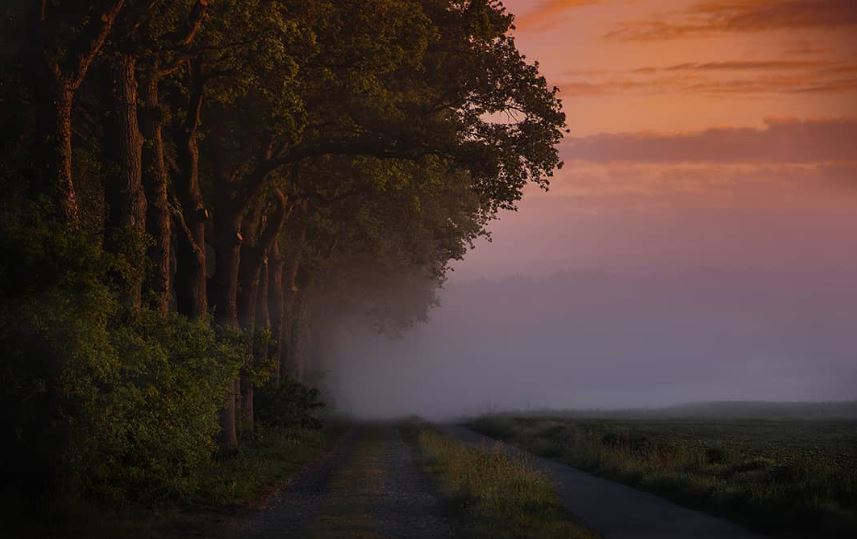 madrugada_m's tweet image. Ein Glück ist niemals erreicht
Mich lockt ein fernstes Gefunkel,
Mich lockt ein raunendes Dunkel
Ins nebelhafte Vielleicht.

Joachim Ringelnatz 
aus: Der Abenteurer