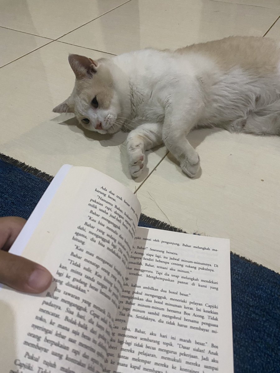 pika pika tweet media