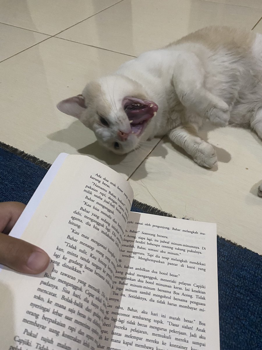 pika pika tweet media