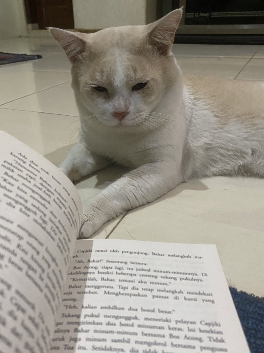 pika pika tweet media