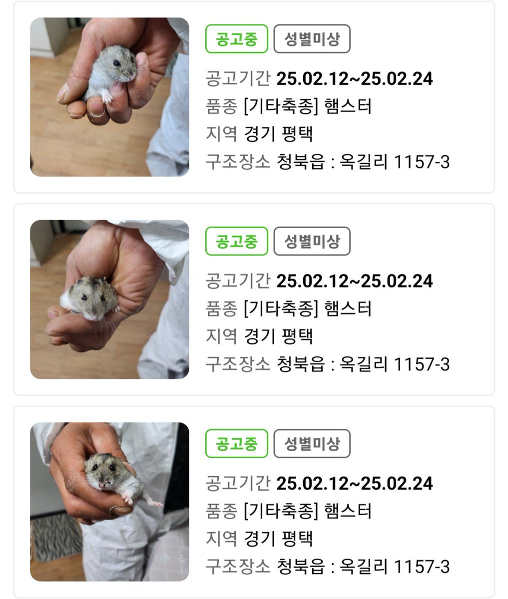 컷오프 프로젝트 tweet media