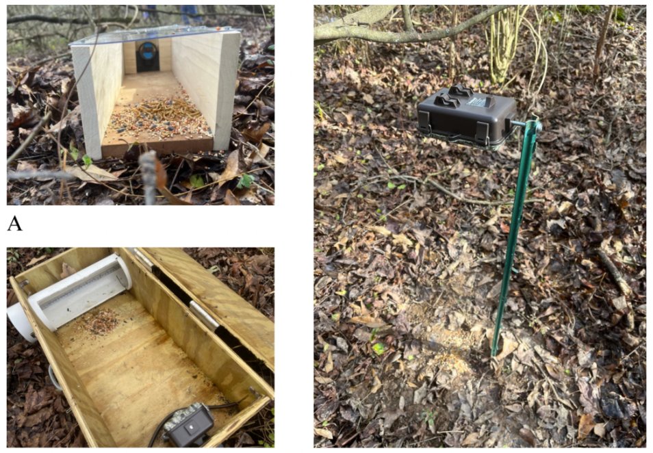 #OA Study compares different camera traps designs for sampling small mammals
link.springer.com/article/10.100…