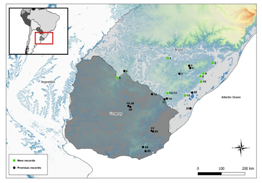 Mammal Research tweet media