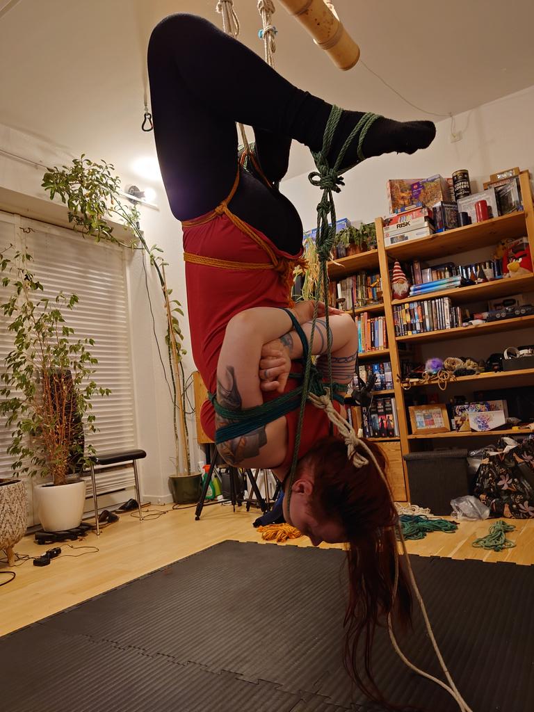 hogtiedgirl