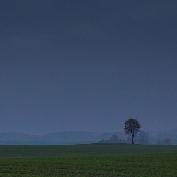 اللهم اختر لي الافضل في كل امور حياتي ثم ارضني باختيارك 🤍