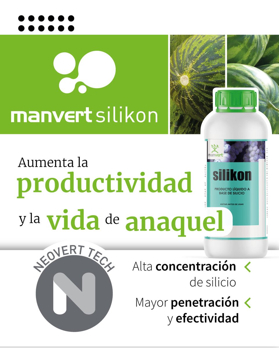 manvert_'s tweet image. ¿Conoce los beneficios #manvertsilikon en sandía y melón?
Es un #bioestimulante líquido formulado a base de silicio que reduce la pérdida de agua dentro de la planta y hace que ésta se mantenga hidratada y nutrida, mejorando calidad, producción y vida poscosecha de los frutos.